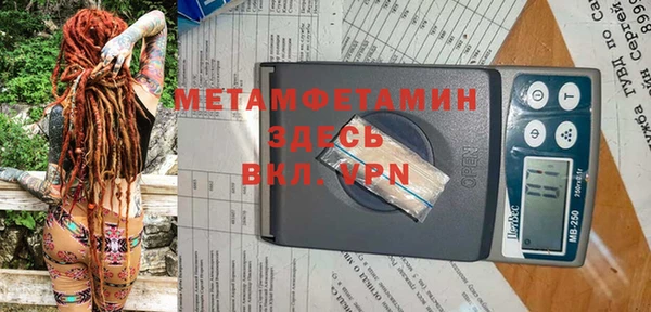 сатива Каменка