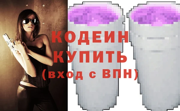 сатива Каменка