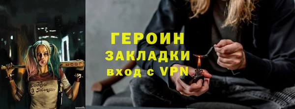 сатива Каменка
