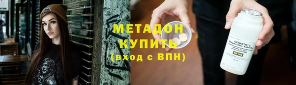 сатива Каменка
