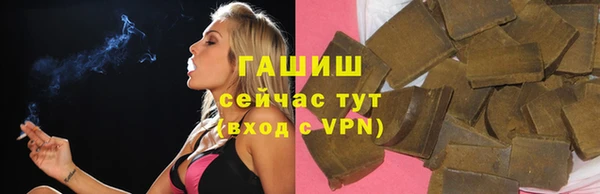 сатива Каменка