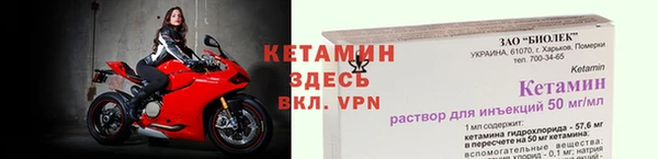 сатива Каменка