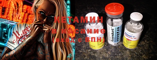сатива Каменка