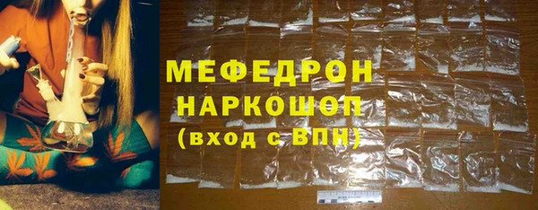 сатива Каменка