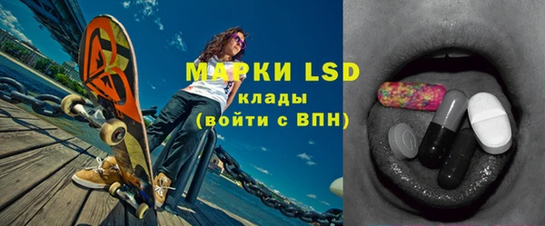 сатива Каменка