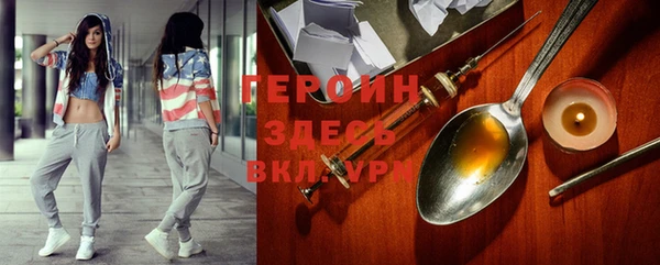 сатива Каменка