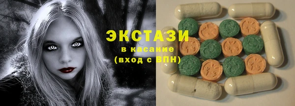 сатива Каменка